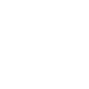telephone icon